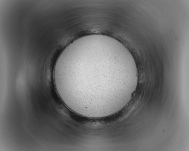 X0000086930646200705141743