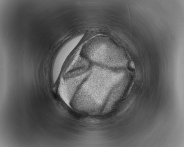 X0000086930648200705141743