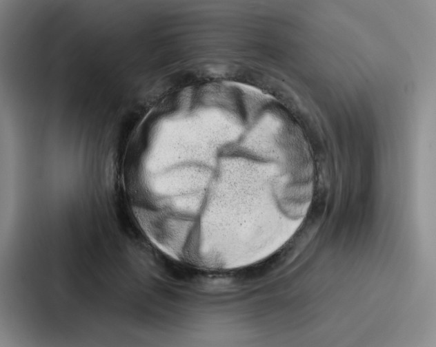 X0000086930651200705141743