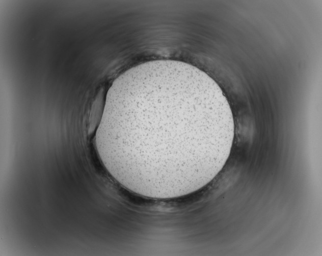 X0000086930656200705141743