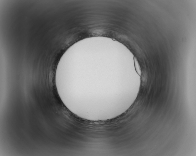 X0000086930660200705141743