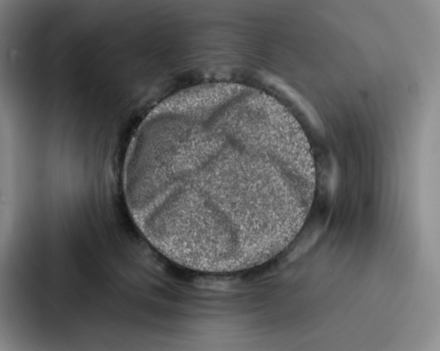 X0000086930661200705141743