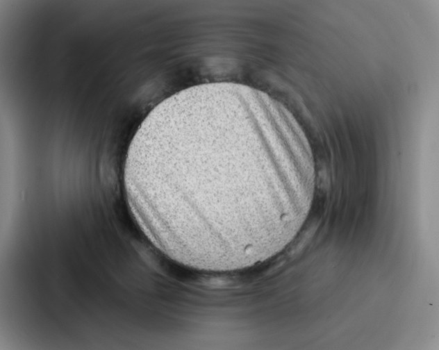 X0000086930662200705141743