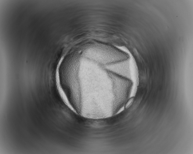 X0000086930663200705141743