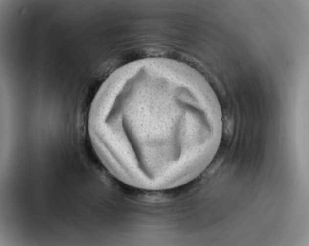 X0000086930666200705141743