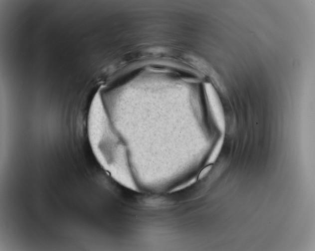 X0000086930669200705141743