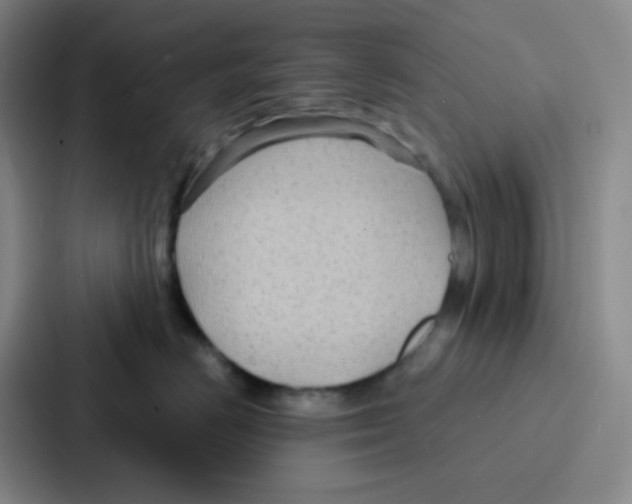 X0000086930670200705141743