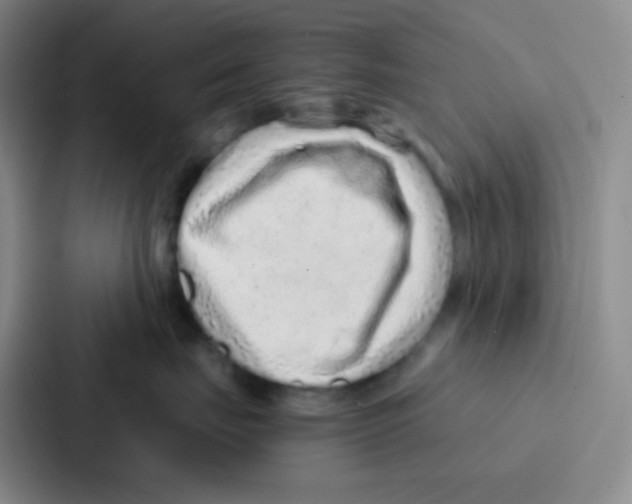 X0000086930671200705141743