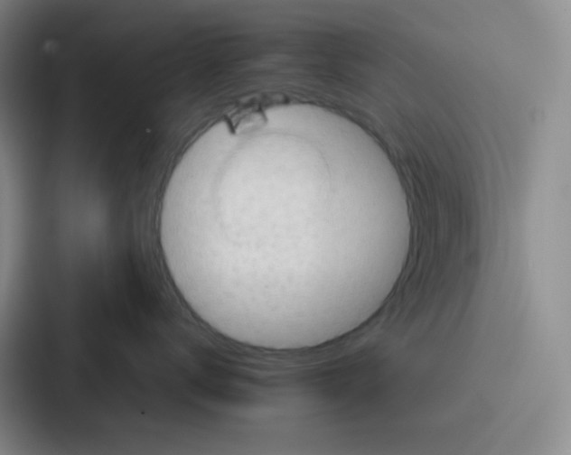 X0000086930672200705141743