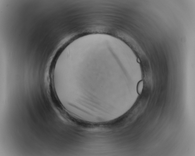 X0000086930674200705141743