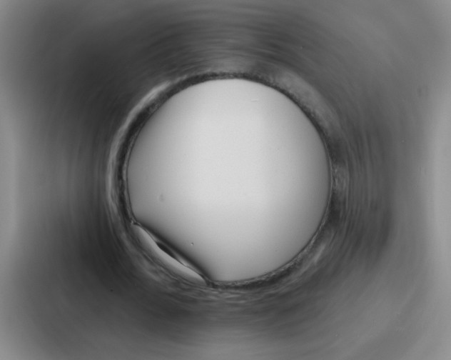 X0000086930676200705141743