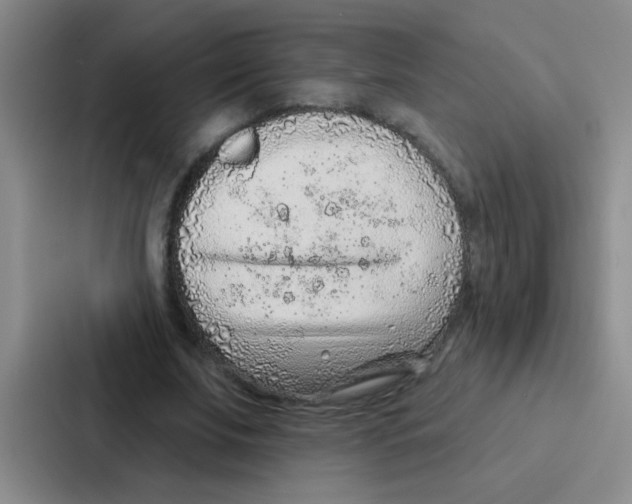 X0000086930679200705141743