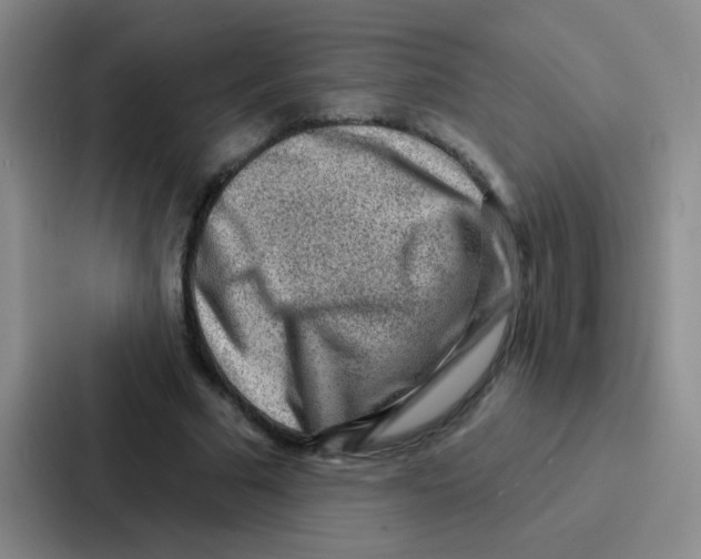 X0000086930681200705141743