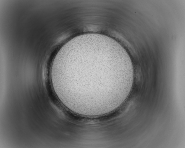 X0000086930683200705141743