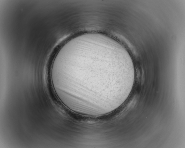 X0000086930684200705141743