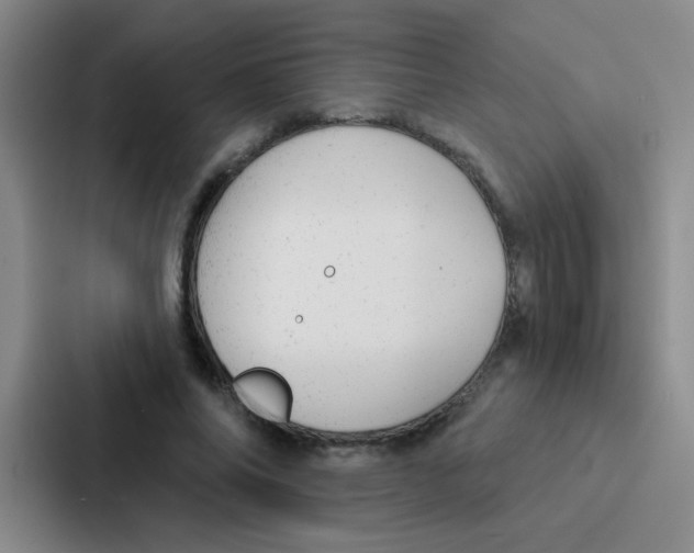 X0000086930686200705141743