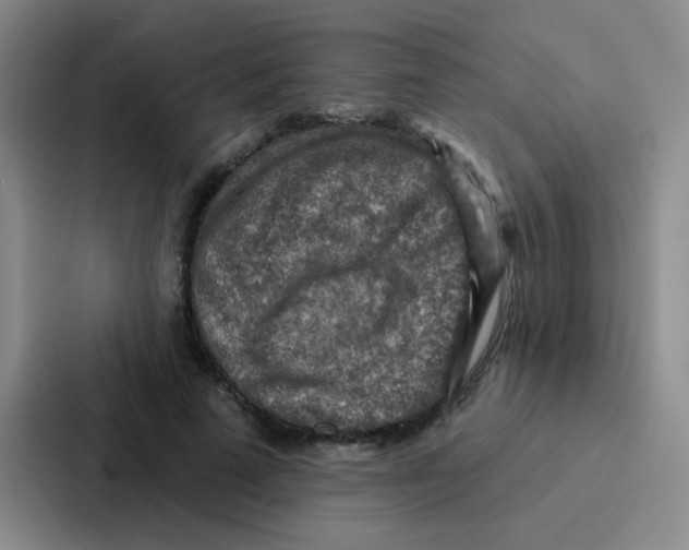 X0000086930689200705141742