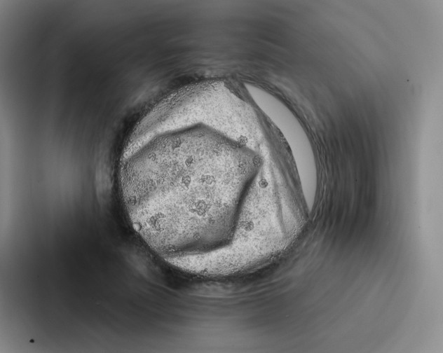 X0000086930691200705141742