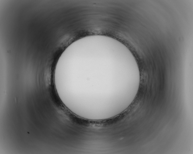 X0000086930694200705141742