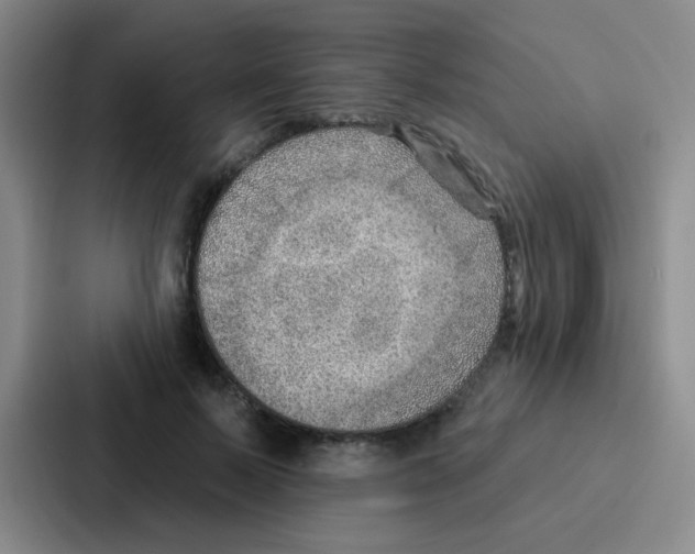 X0000086930695200705141742