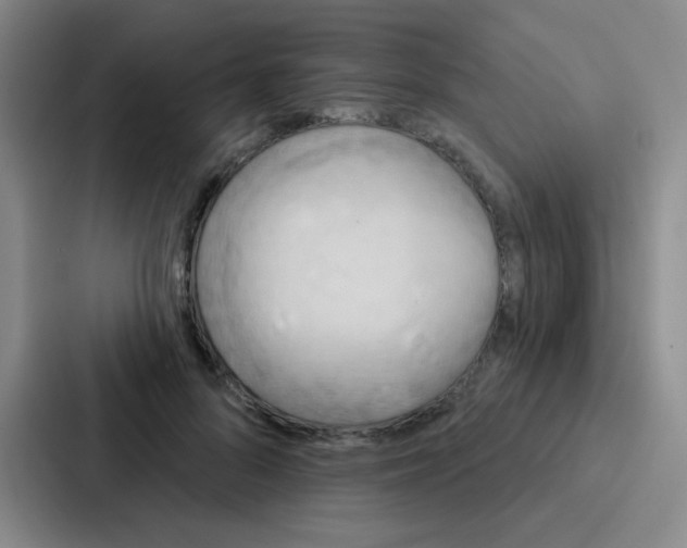 X0000086930696200705141742