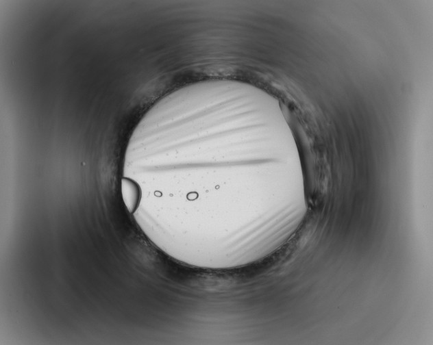 X0000086930697200705141742