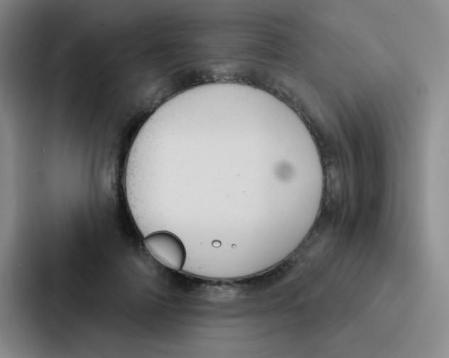 X0000086930698200705141742