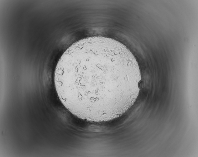 X0000086930699200705141742