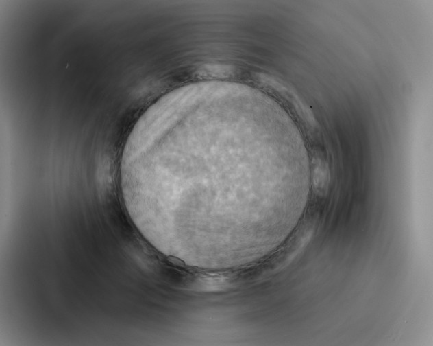 X0000086930701200705141742