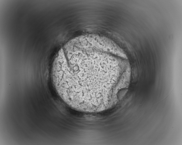 X0000086930703200705141742