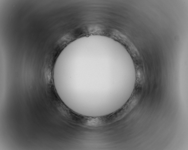 X0000086930705200705141742