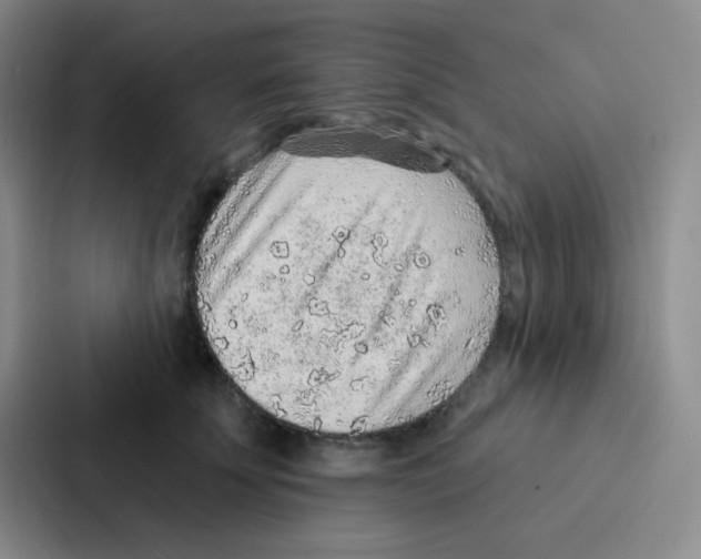 X0000086930707200705141742