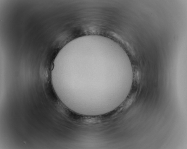 X0000086930709200705141742