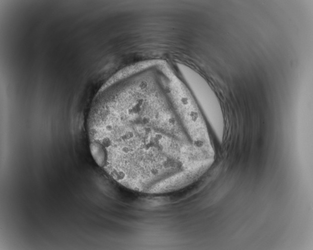 X0000086930711200705141742