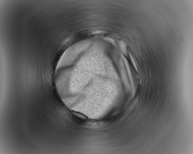 X0000086930712200705141742