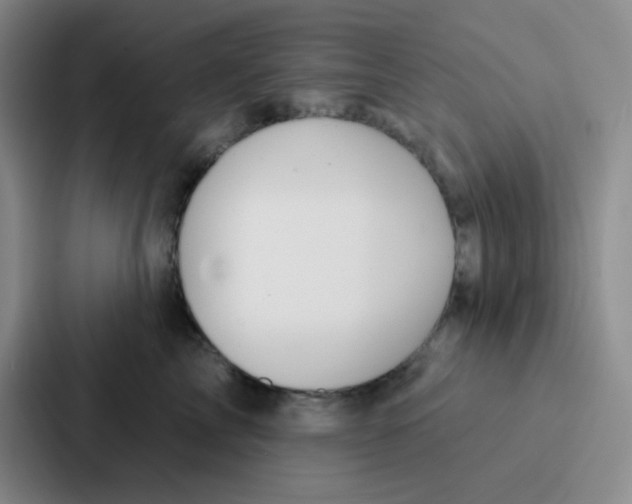 X0000086930713200705141742