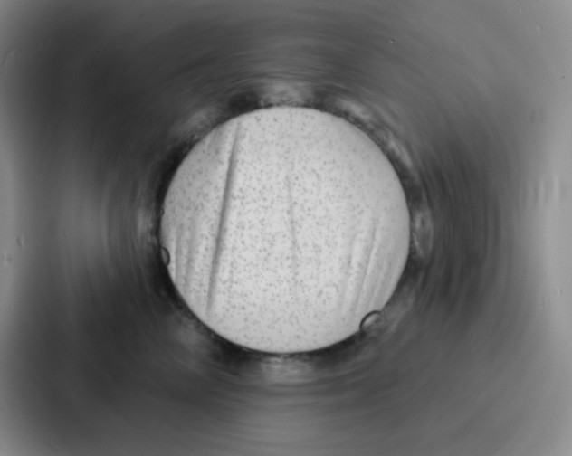 X0000086930714200705141742