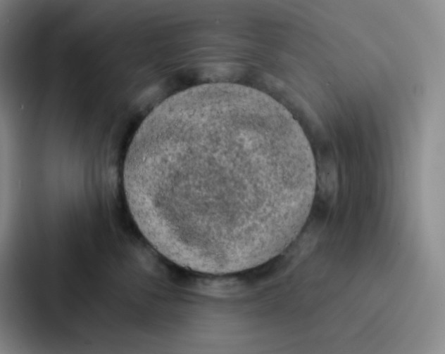 X0000086930716200705141742