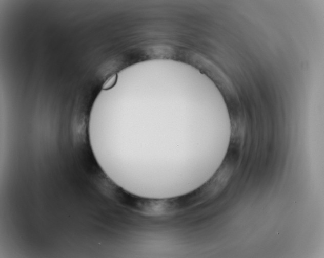 X0000086930717200705141742