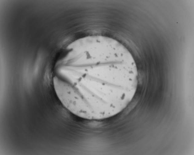 X0000086930718200705141742