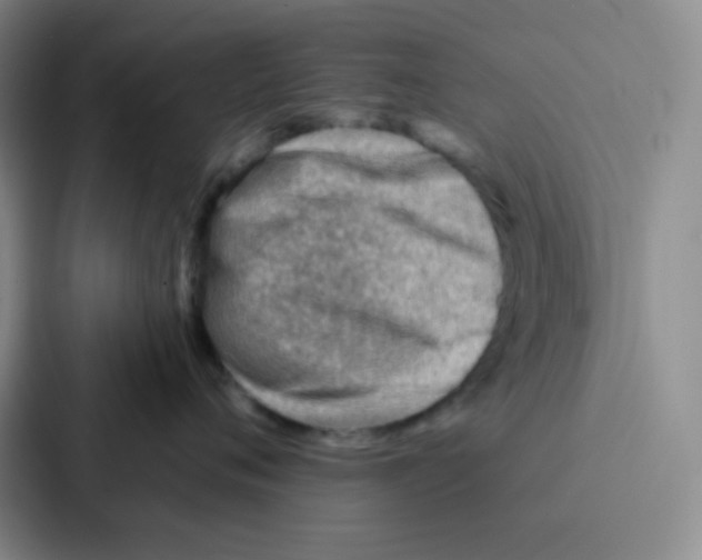 X0000086930720200705141742