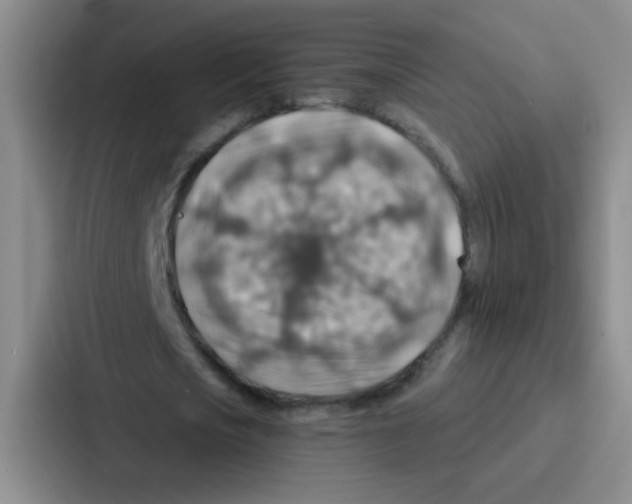 X0000086930721200705141741