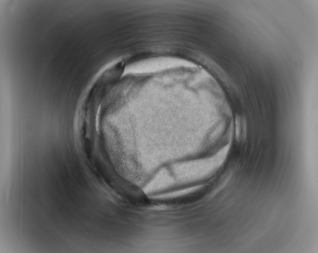 X0000086930723200705141741