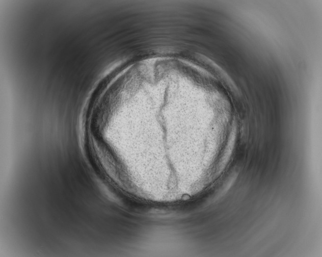 X0000086930725200705141742