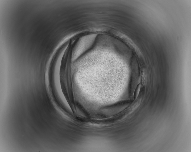 X0000086930726200705141742