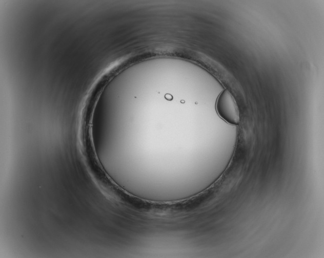 X0000086930728200705141742