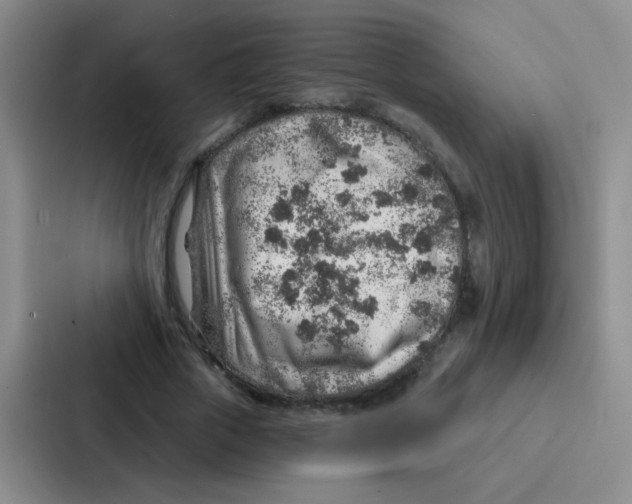 X0000086930729200705141742