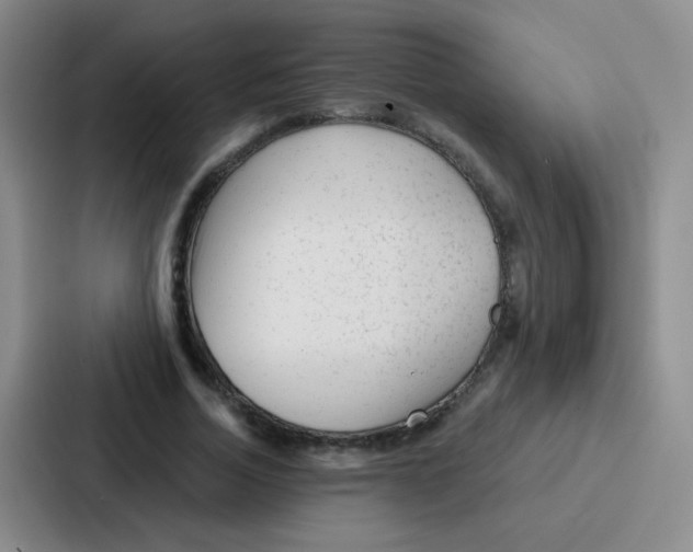 X0000086930730200705141742