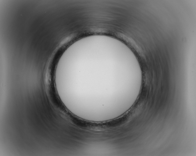 X0000086930731200705141742