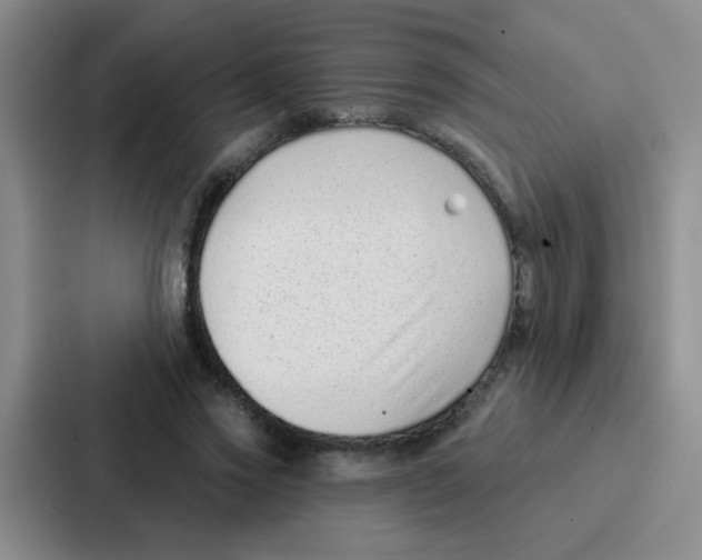 X0000086930733200705141742